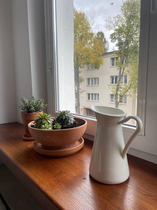 Apartament Cozy, Bright, Comfy Studio Next To The Old Town. Warszawa Zewnętrze zdjęcie